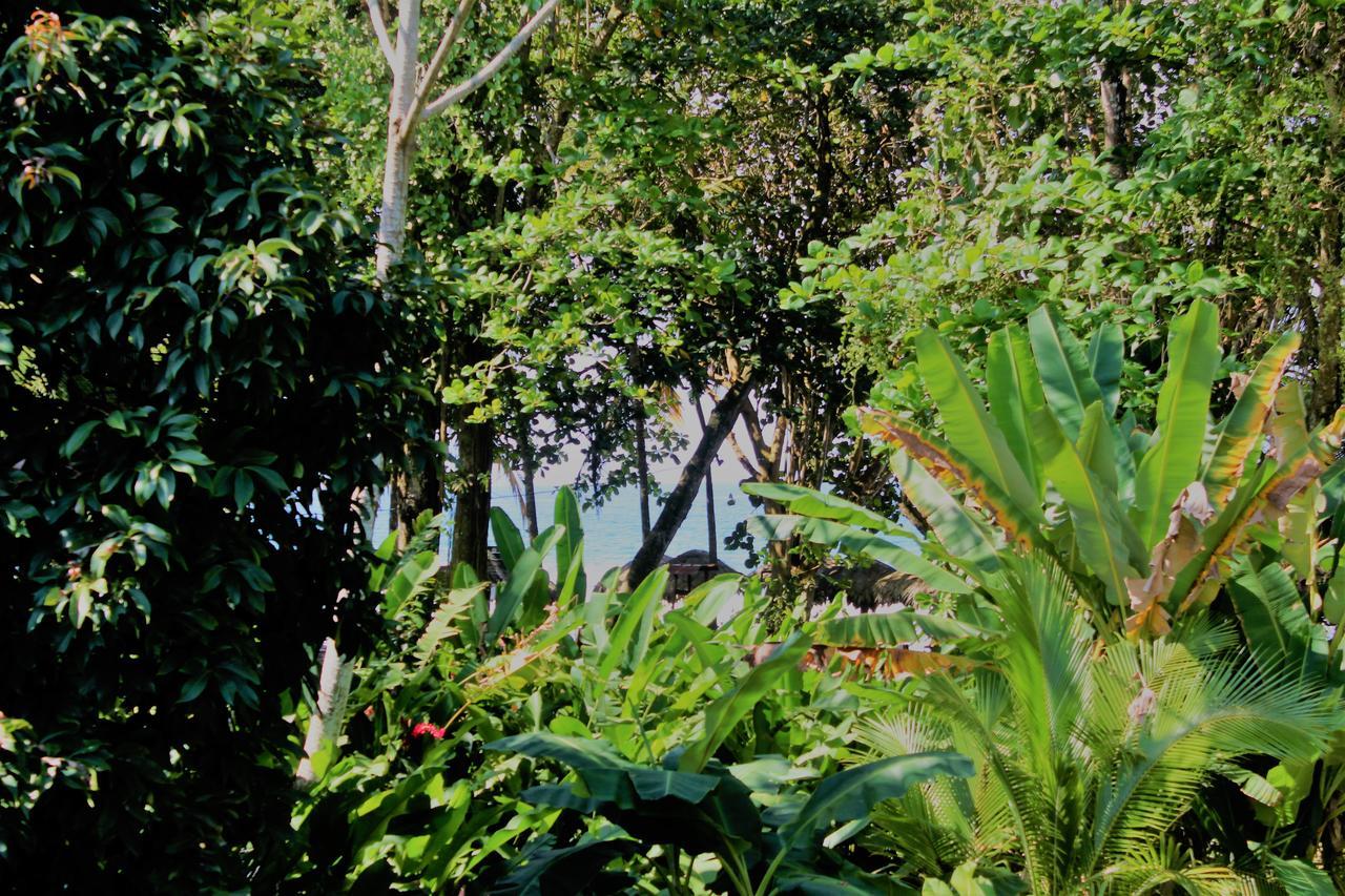 Casa Natural Puerto Viejo Puerto Viejo de Talamanca Exterior photo